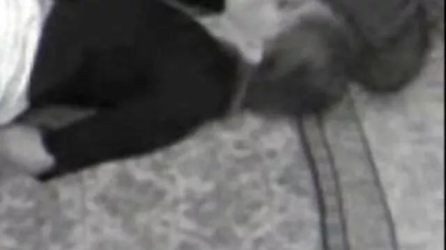 پورنو بدون ثبت نام  نوارهای باریک و چرم بلندی روی مبل خرد عکسهای سوپرسکسی خارجی شده است