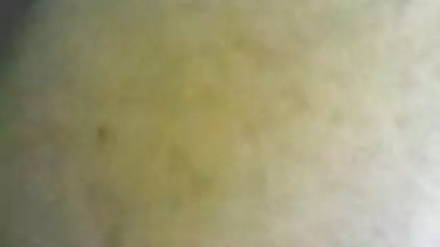 پورنو بدون ثبت نام  روز شکرگذاری بر عهده ماست ، این بدان معناست فیلم سوپر خارجی داستانی که فصل تعطیلات کاملاً در حال جابجایی است
